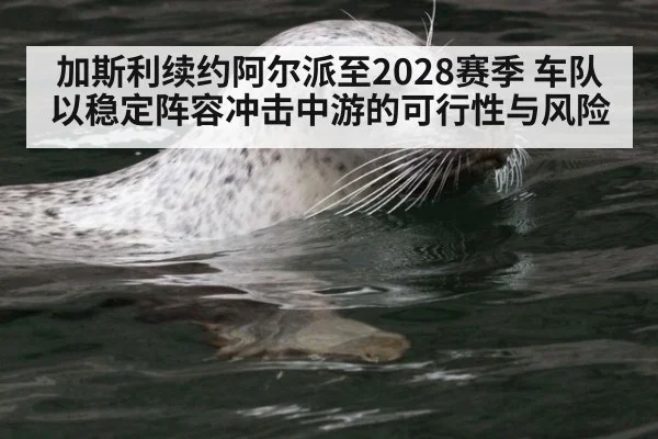 加斯利续约阿尔派至2028赛季 车队以稳定阵容冲击中游的可行性与风险
