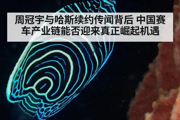 周冠宇与哈斯续约传闻背后 中国赛车产业链能否迎来真正崛起机遇